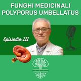 Funghi Medicinali: POLYPORUS UMBELLATUS