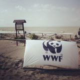 Speciale WWF: Gli habitat dunali