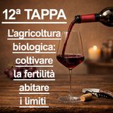 12ª TAPPA - Percorso di AVVICINAMENTO al mondo del VINO NATURALE