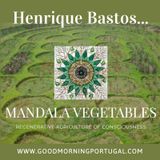 Portugal news, weather and the remarkable mandala gardens of Henrique Bastos