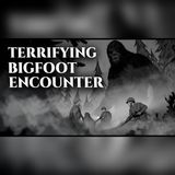 Bigfoot Stalked Sedona, Arizona… The Encounter No One Can Explain