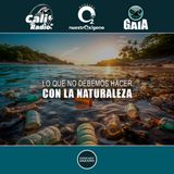NUESTRO OXÍGENO Lo que no debemos hacer con la naturaleza
