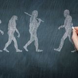 “Non è la specie più forte a sopravvivere”: la vera intelligenza è sapersi adattare, parola di Darwin