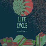 3. Life Cycle.mp3