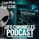 Ep.256 Angelfish