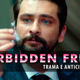 Forbidden Fruit, Anticipazioni: Ecco Che Fine Farà Alihan!