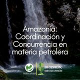 Amazonía: Coordinación y Concurrencia en materia petrolera