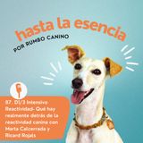87. Especialista Reactividad Marzo 26 W1- Que hay realmente detrás de la reactividad canina. Y por qué muchos casos no mejoran aunque se apl