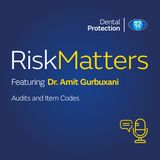 RiskMatters - Audits and Item Codes