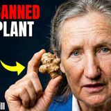 Plant Once_ Harvest Forever_ The Crop That Saved Lives in War _ Barbara O_Neill