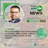 Safra e exportações de soja do Brasil podem atingir recordes em 2025, aponta StoneX