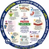 EP-287|💪 What Happens Inside Your Body After You Eat Protein? | 🍳 প্রোটিন খাওয়ার পর শরীরে কী হয়?