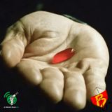 #353 - 'Red pills' e 'incels': o fascismo e o ódio às mulheres (com Letícia Ueda Vella) #OPodcastÉDelas2025