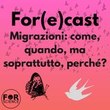 Migrazioni: come, quando, ma soprattutto, perché? For(e)cast 4 - Approfondì