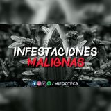 Plagas como Indicadores de Maldad