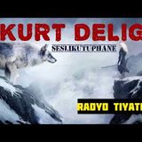 Kurt Deliği - Radyo Tiyatrosu [Macera]