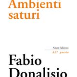 Fabio Donalisio "Ambienti Saturi"