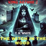 The Witch in the Wood  🧙‍♀️👑⚔ | The Once and Future King, King Arthur 2 by T. H.| Medieval Fantasy Chivalry 9