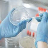 Gestione  clinica e assistenziale del paziente con sospetta meningite e sepsi meningococcica: protocolli, monitoraggio e nursing avanzato