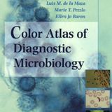 Color Atlas Of Diagnostic Microbiology