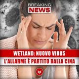 Wetland, Nuovo Virus: L'Allarme Anche In Italia!