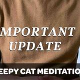 IMPORTANT_ YouTube Ads Could DESTROY Sleep Stories _ Meditations (Jason Stephenson Petition)