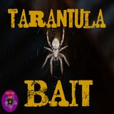 Tarantula Bait | Paul Chadwick | Podcast