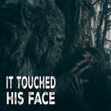 It Reached Out and Touched His Face
