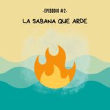 T2E2- La sabana que arde/ Sabanas inundables