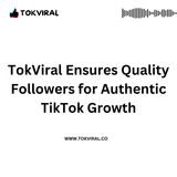 TokViral Ensures Quality Followers for Authentic TikTok Growth