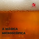 #34 - Temporada 2 - Episódio 3 - A mágica microscópica