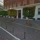 Gli alberi cubici di Mantova #pareridistorti