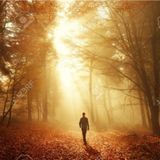 Calidad de sueño y bienestar- Humanauta སྲི་རམ།