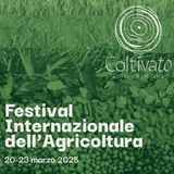 Elisa Palazzi "Clima, montagne, donne e nuove scalate per vedere meglio il mondo"