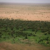 Il progetto della “grande muraglia verde” per frenare il deserto in Africa