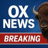 Hassett Claims US Economy Is 'Best We've Ever Seen'