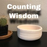 Episode 8 - Counting Wisdom