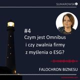 4. Czym jest Omnibus i czy zwalnia formy z myślenia o ESG?