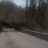 Neve e vento forte: ondata di maltempo e danni nelle Prealpi vicentine
