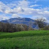 Al via “Alberi di Inchiostro”, il festival che unisce libri, natura e convivialità sul Tretto