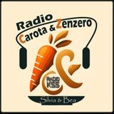 Radio Carota e Zenzero - Spicchi di melanzane con cipolla di Tropea