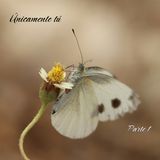 Tú 5 | Parte 1