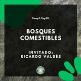 T2E20 - Bosques comestibles / Ricardo Valdés