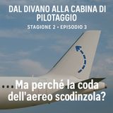 Ma perché la coda dell’aereo scodinzola?