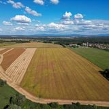 Azoto: per gli obiettivi UE il taglio dei fertilizzanti non basterà