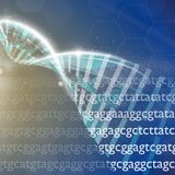 Sois los primeros: Decodificando el genoma humano