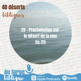 #46 désert 29 - Proclamation sur le désert de la mer (Is 21)
