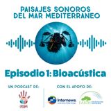 Paisajes Sonoros del Mar Mediterraneo. Episodio 1: Bioacústica