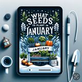 What to plant in January; Sowing seeds of success in your Garden and Allotment