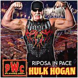 Pro Wrestling Culture #500 - RIP Hulk Hogan